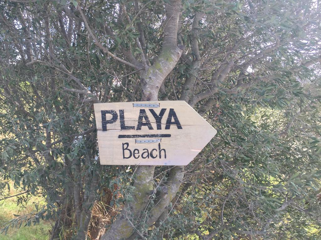 Bungalows Tangana Tarifa Zewnętrze zdjęcie